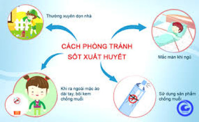 Cách phòng tránh bệnh sốt xuất huyết