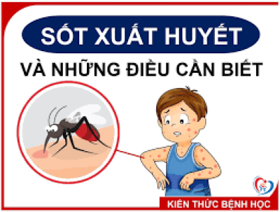 Tuyên truyền phòng chống sốt xuất huyết