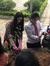 Tết trồng cây Xuân Kỷ Hợi 2019